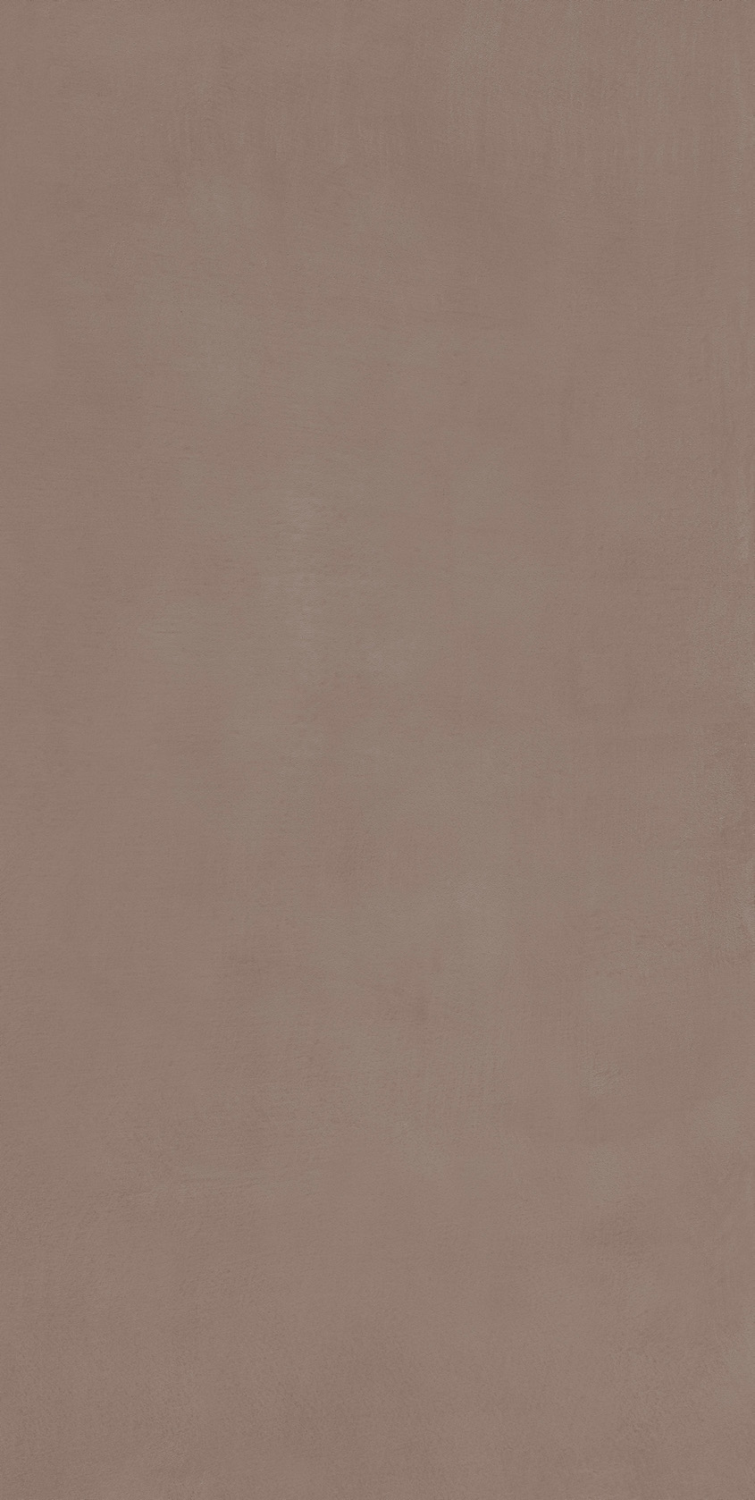 塔莱斯咖产品图