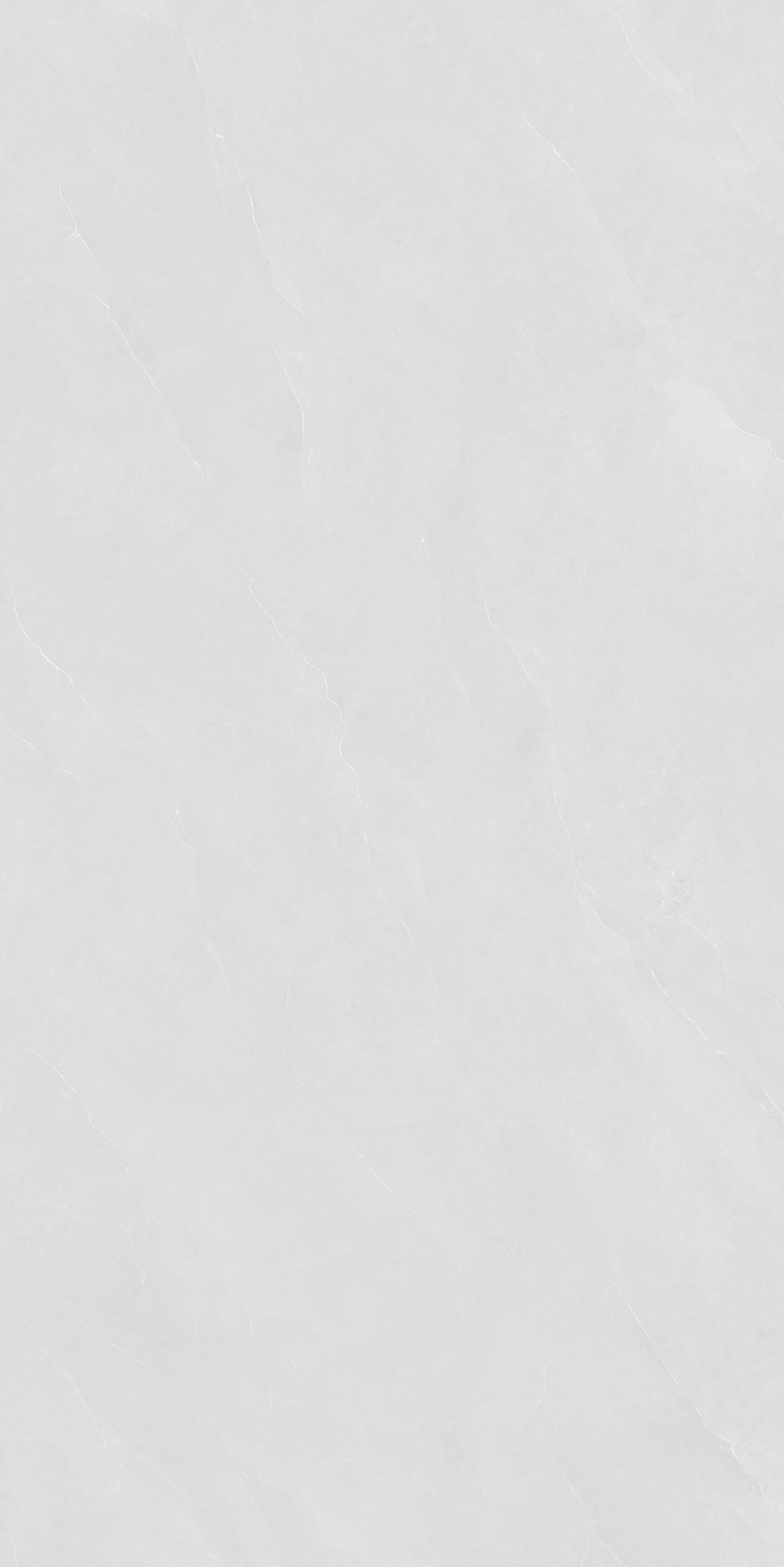 雨林浅灰产品图