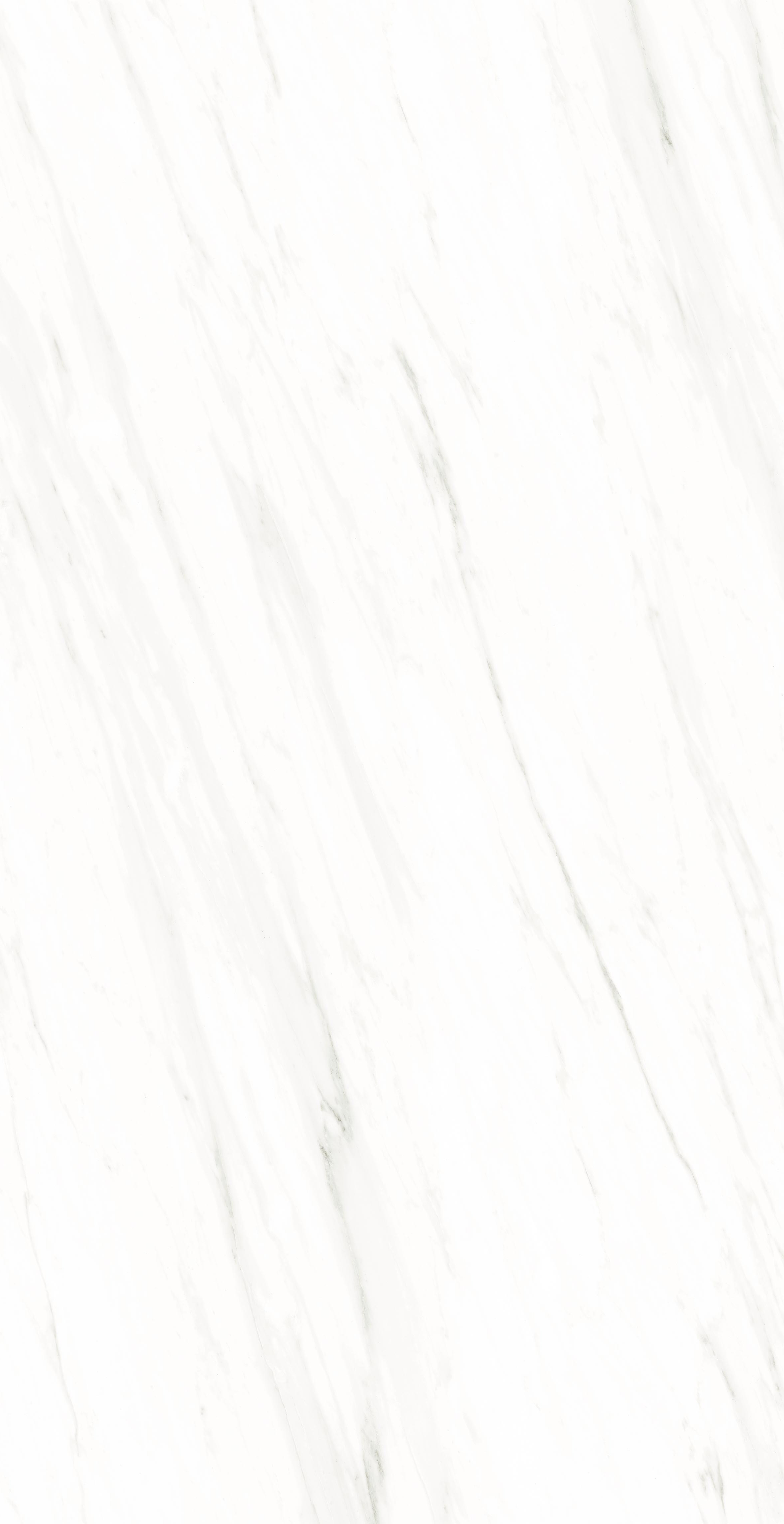 维多利亚白产品图