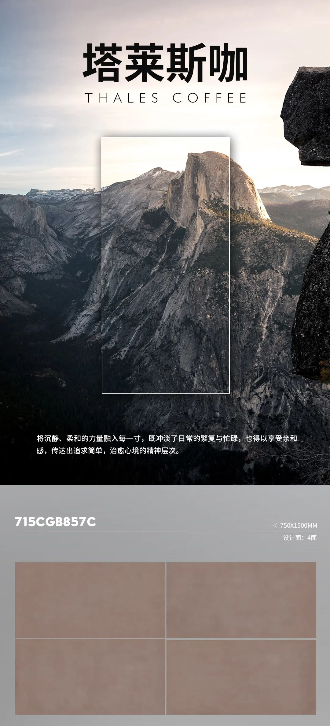 素雅质感系列 | 塔莱斯咖，透出安然舒适的气质