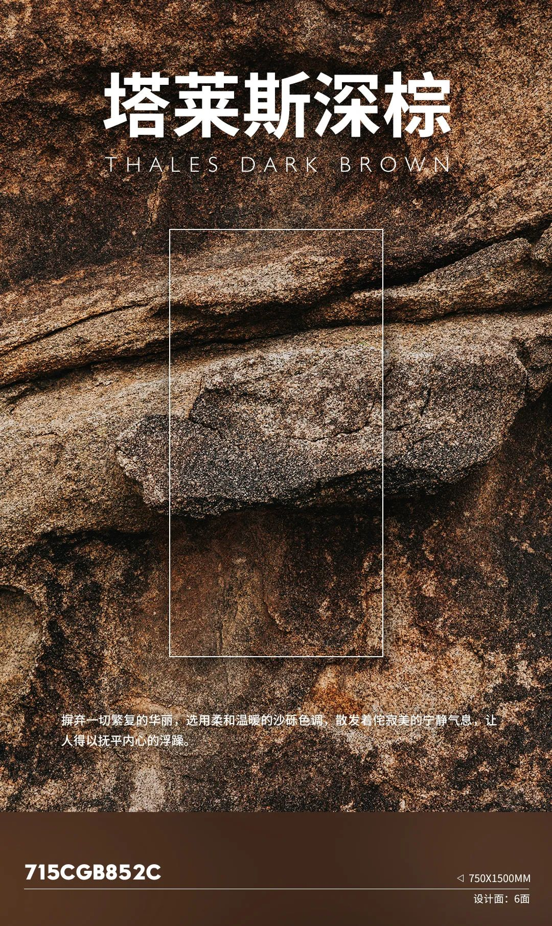 LORD新品来袭 | 塔莱斯深棕，摒弃一切繁复的华丽