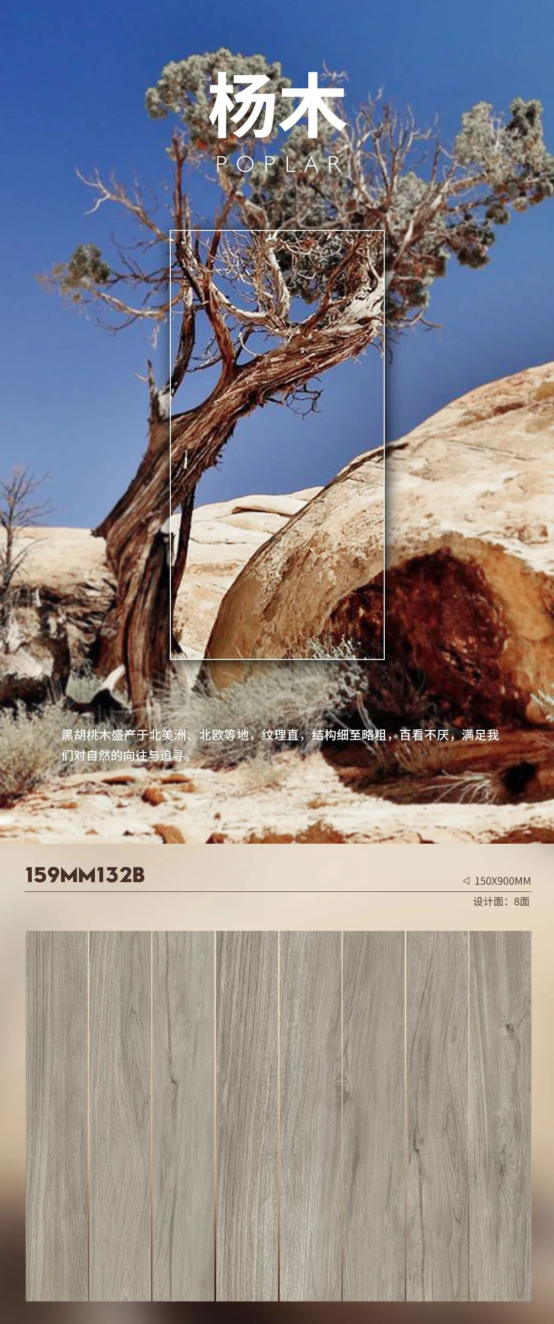 走进杨木，森呼吸 | 呈现自然纯粹的本质