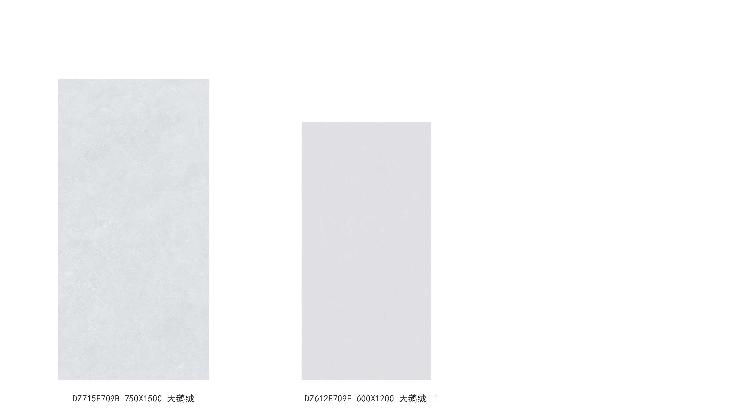 DZ715E709B、DZ612E709E产品图