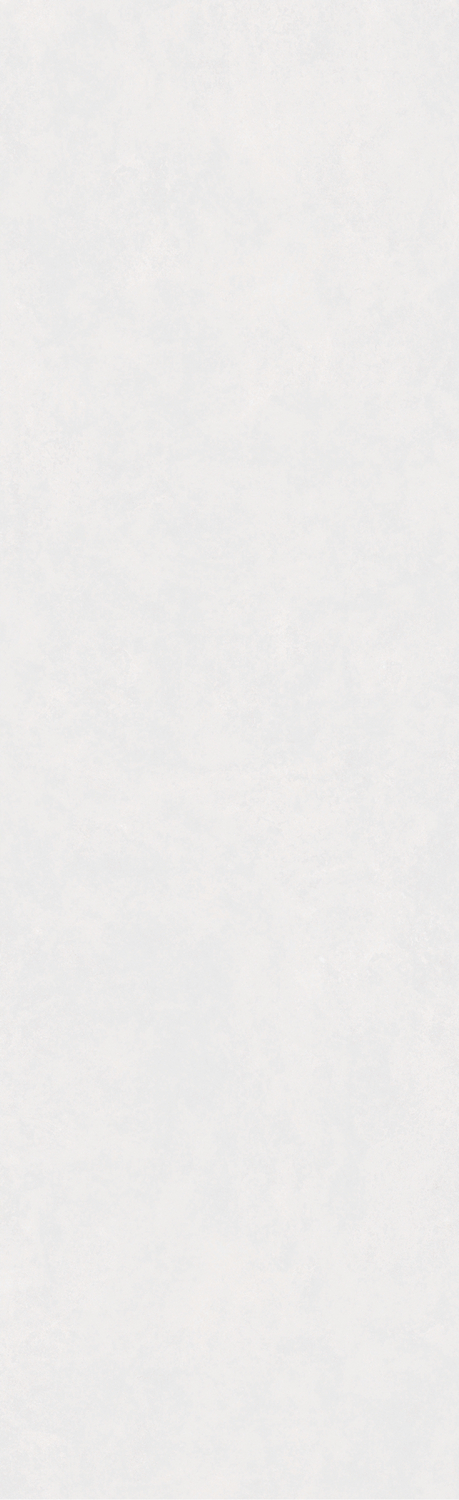 维纳斯灰产品图