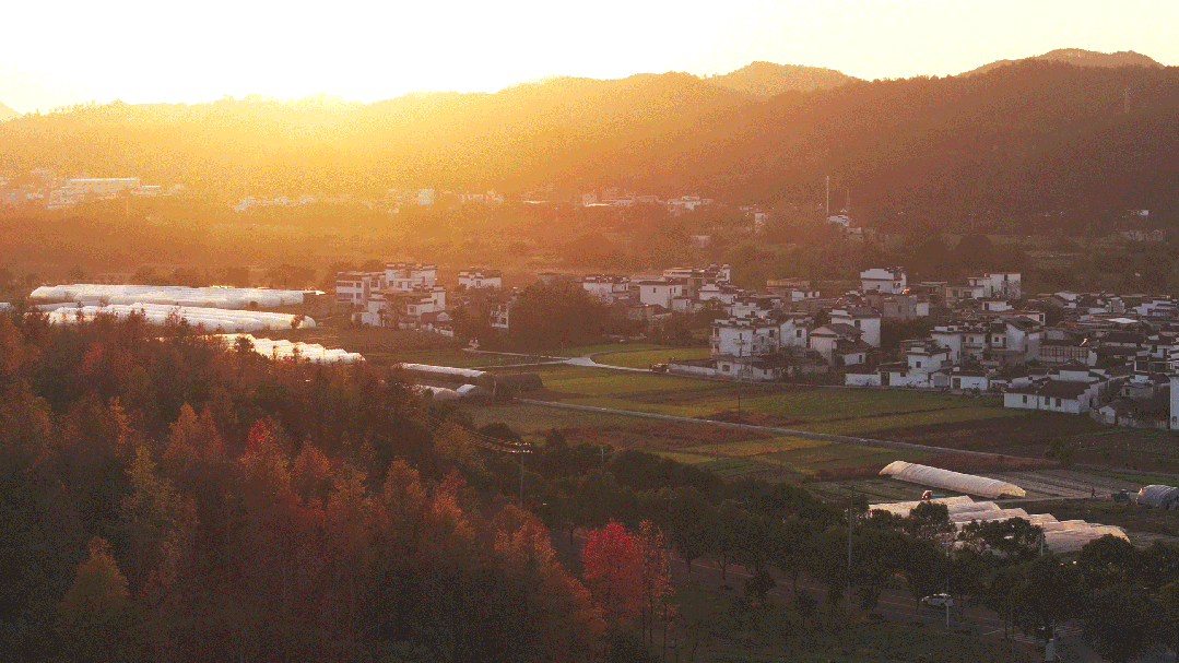 来德利×《亲爱的家》丨80后海归媒体人任性离职,在黄山脚下打造了一处心安之所