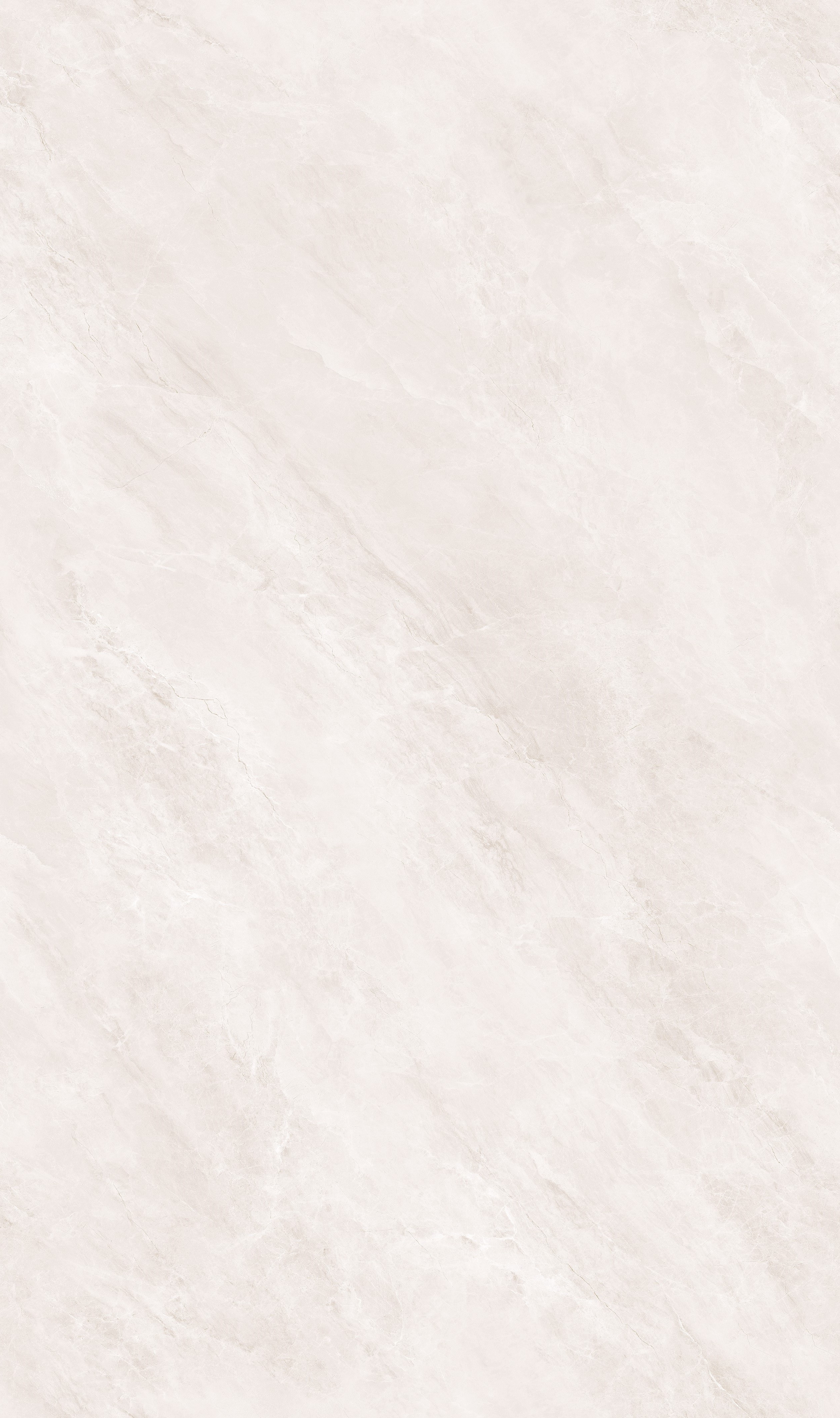 飞鸿印雪产品图