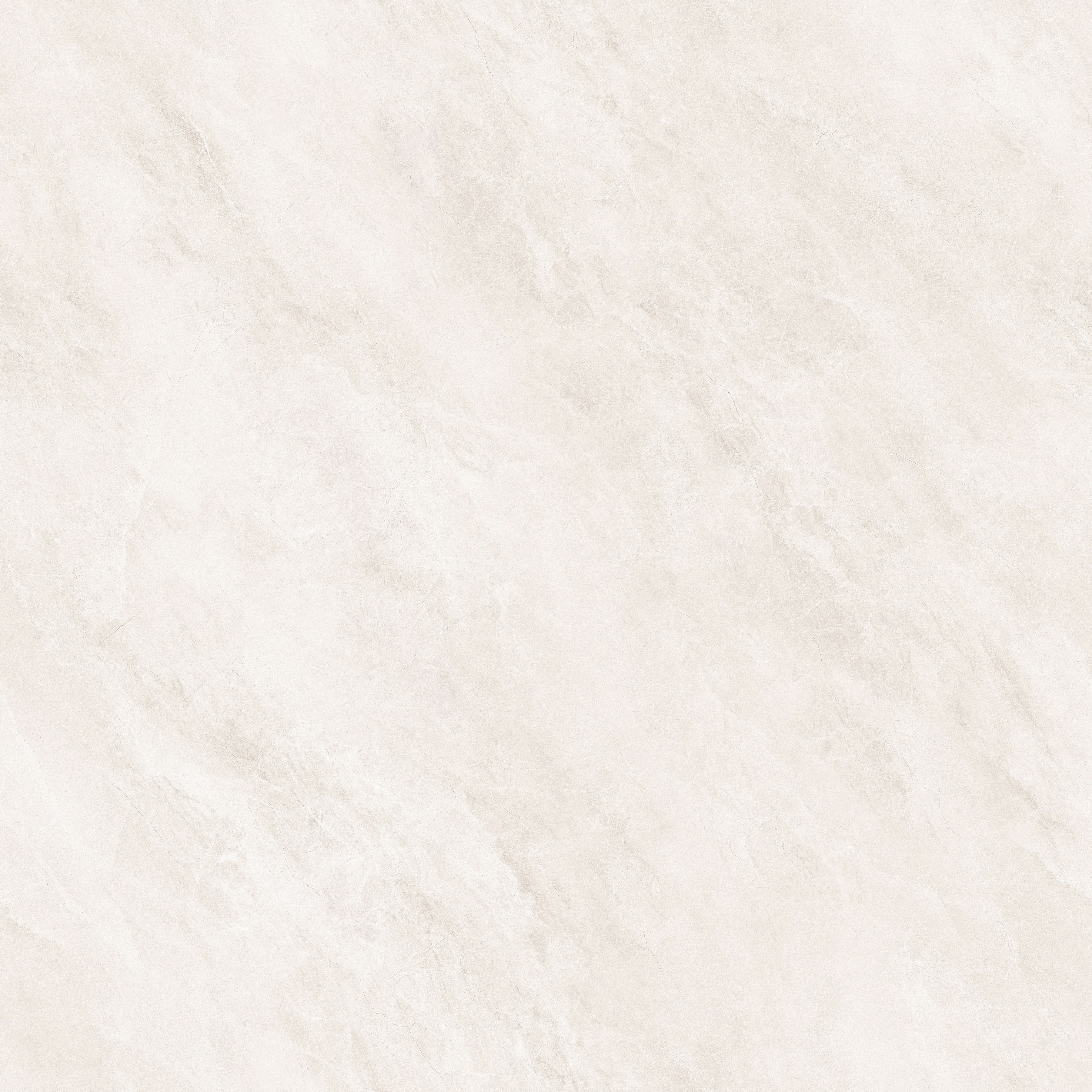 飞鸿印雪产品图