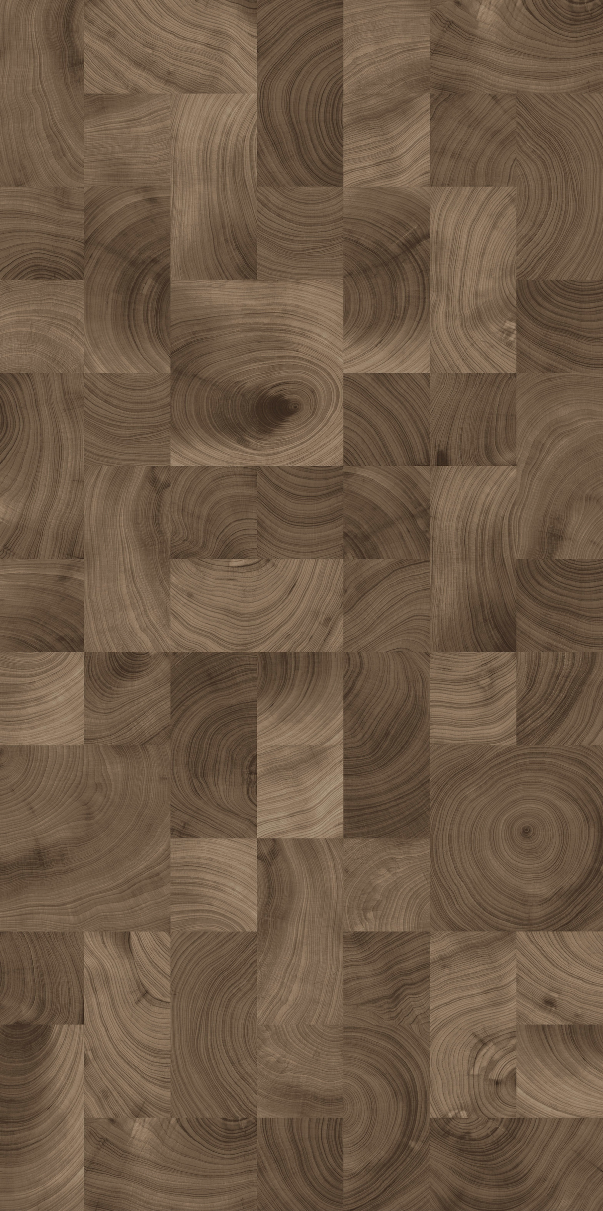 乌木年轮产品图