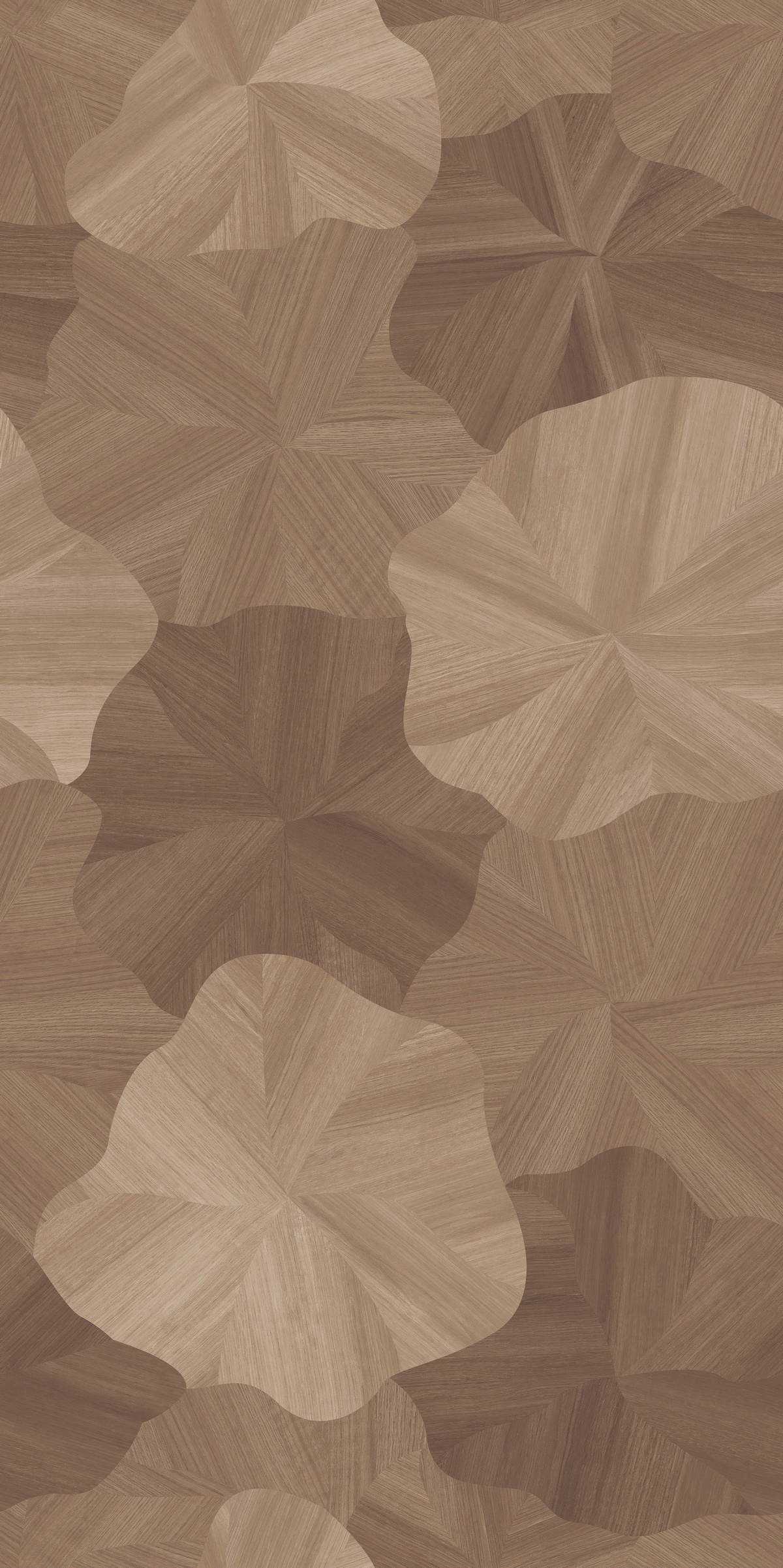 木影荷韵产品图