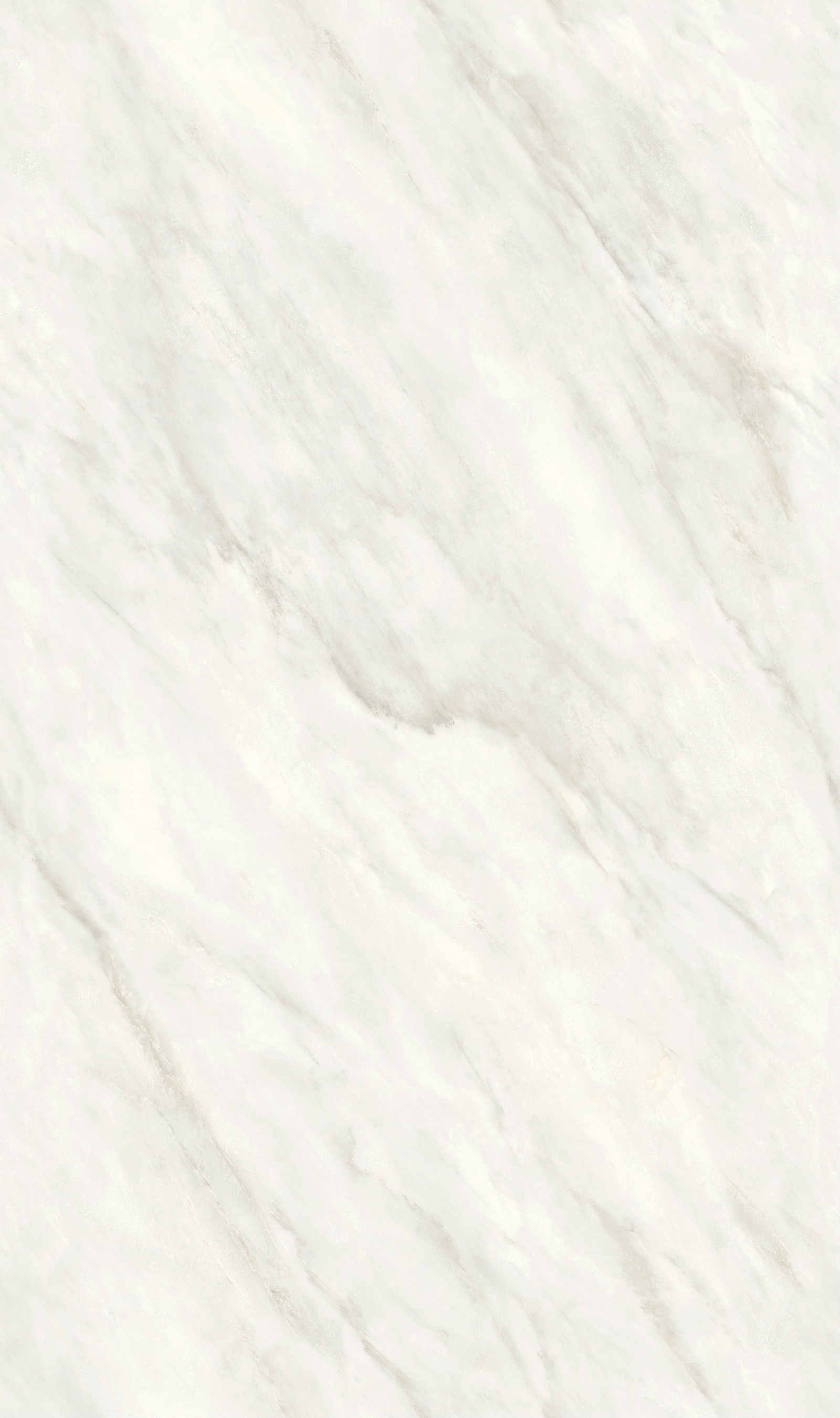 雪山银狐产品图