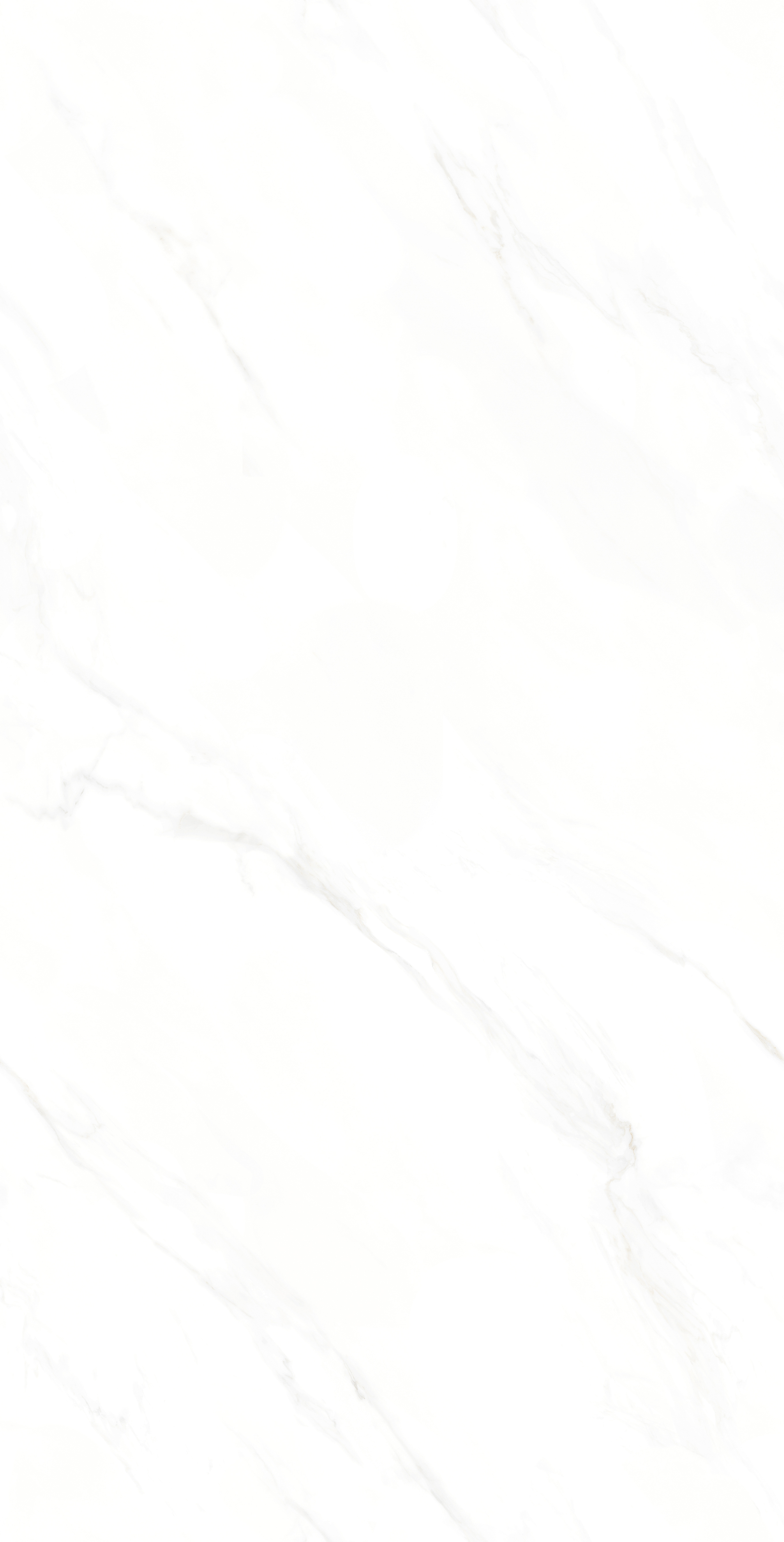 冰岛白 LDGA85021产品图